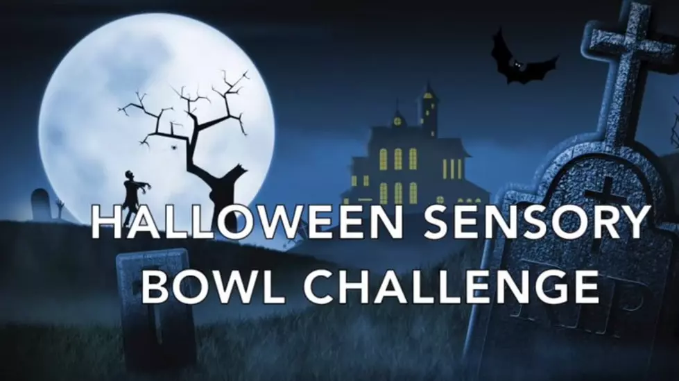 Halloween Sensory Bowls Challenge Challenges Radio Station Staff [VIDEO]