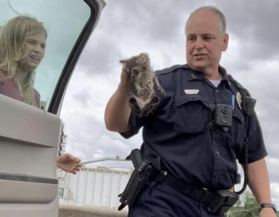 Cedar Rapids Cop Saves Cat