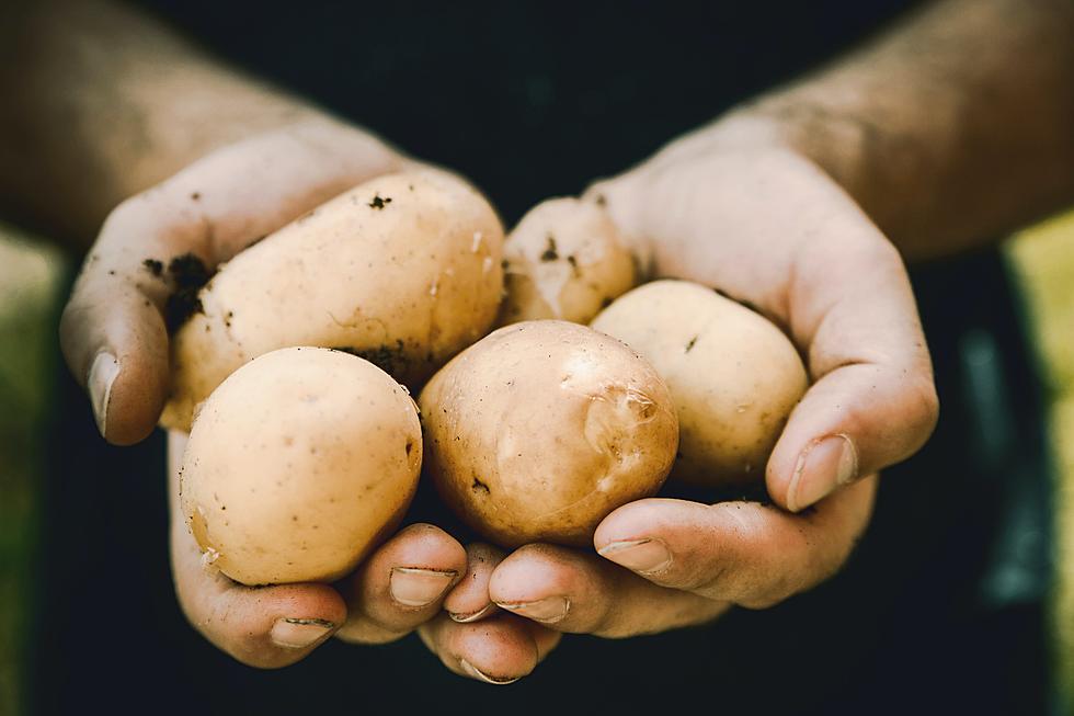 Come on Iowa, it’s Official We Don’t Know What A Potato is [SERIOUSLY]