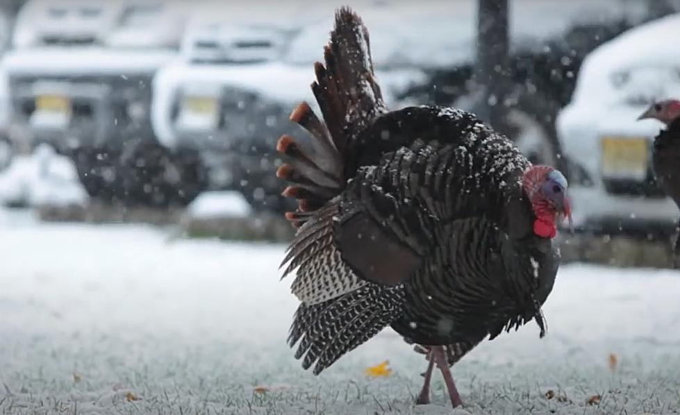Cedar Rapids Could See a &#8216;White Thanksgiving&#8217; This Year