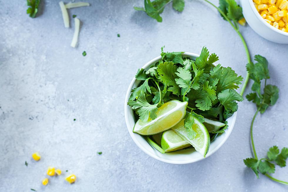 Do You Despise Cilantro? Science Says You Can Blame Your Parents