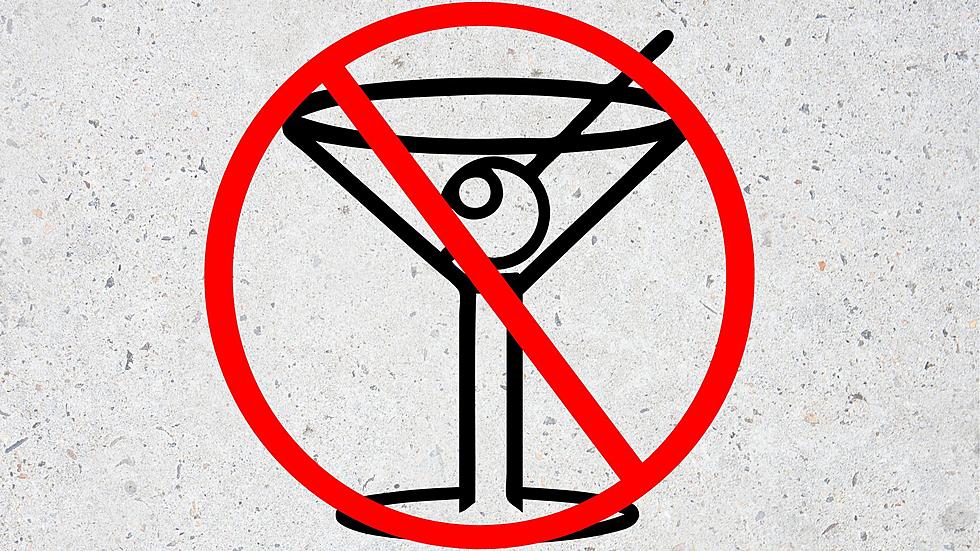 Have NO Drink on Me: Many Endorse Introducing Partial Prohibition in Iowa