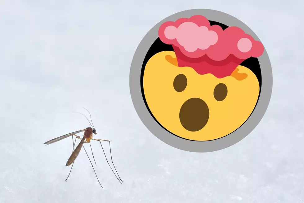 Midwest Radar Shows Massive Mosquito Boom [VIDEO]
