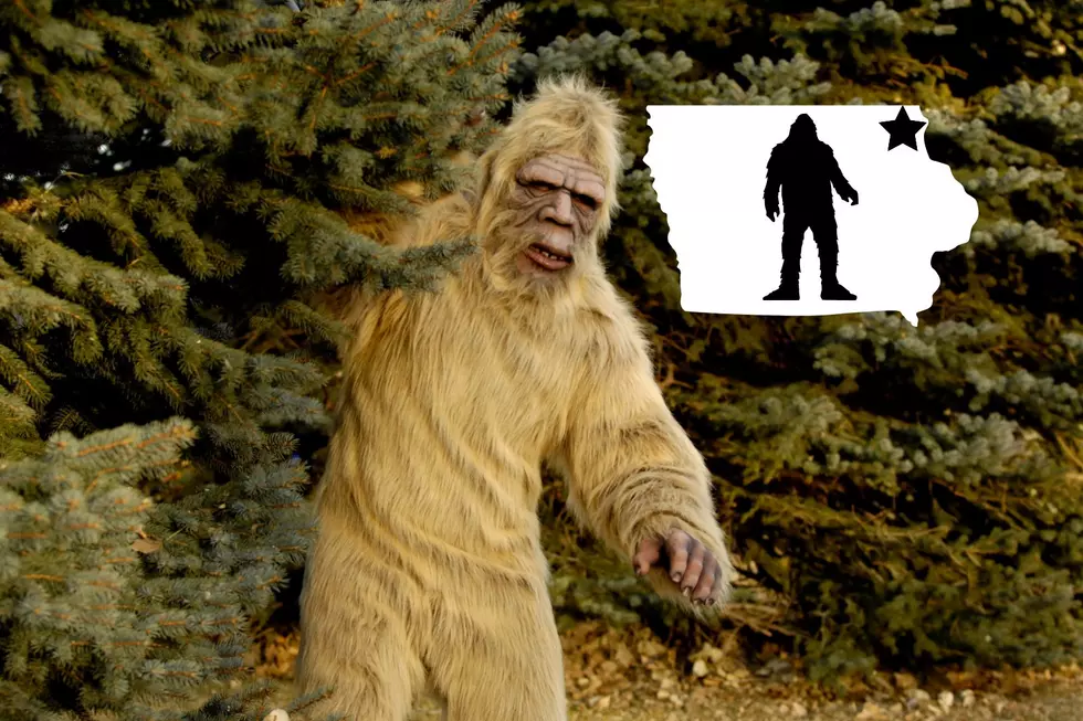 Startling: Is Bigfoot Hanging Out in Eastern Iowa? [VIDEO]