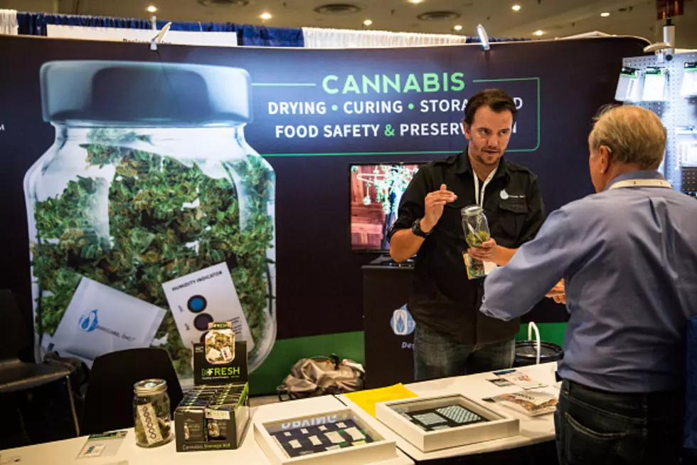 World Cannabis Expo Underway In New York City