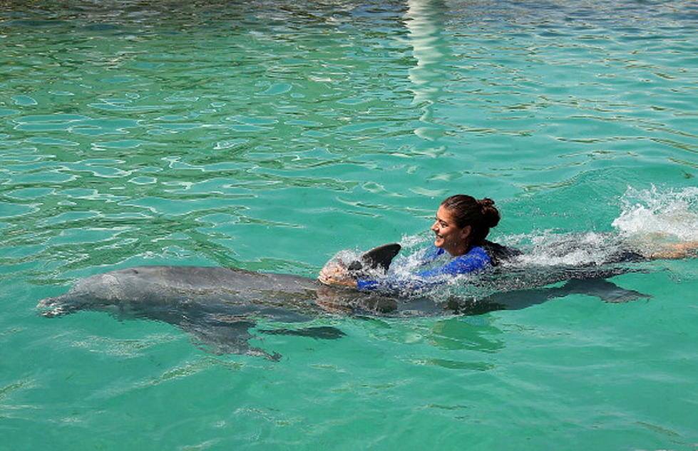 CT Girl Getting Her Wish To Meet Dolphins