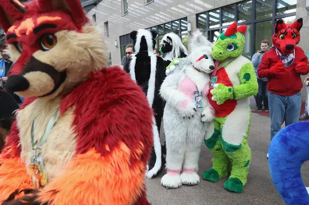 Who Knew &#8216;Furry&#8217; Conventions Were a Thing in Connecticut?