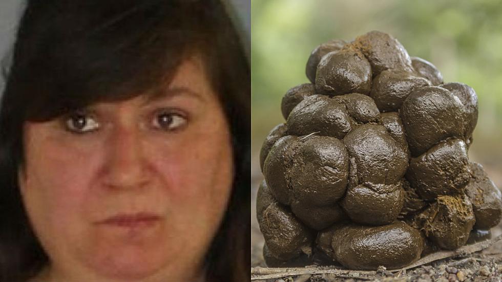 Police: Connecticut &#8216;Serial Pooper&#8217; Nabbed After Third Time