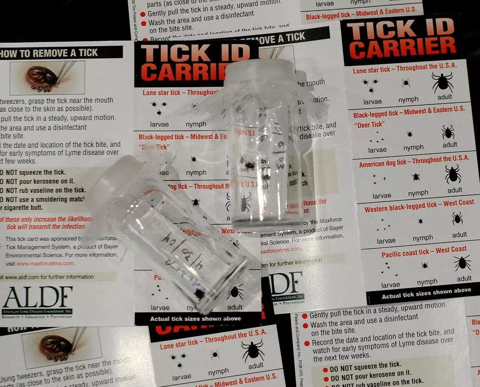 Ticks Spotted In Connecticut Can Cause Severe Meat Allergy