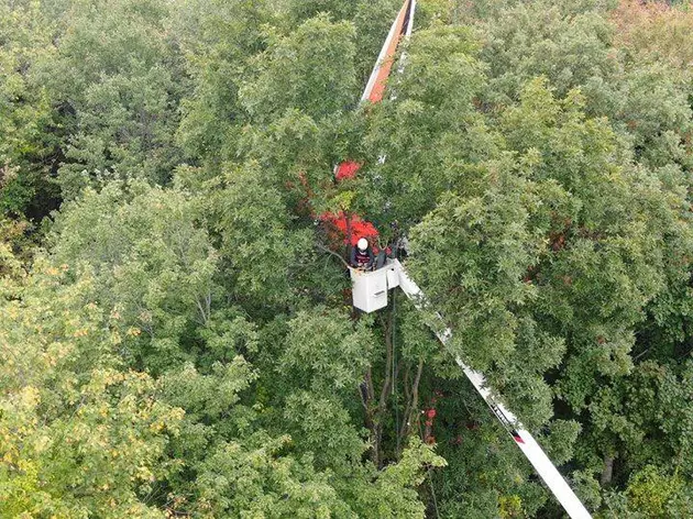 New Milford FD + Local Arborist Rescue Hang Glider From Tree