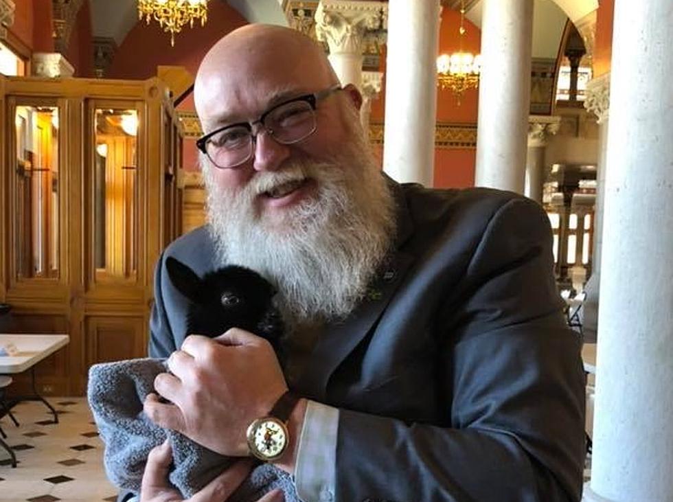 State Capitol Hosts New Milford Day With Baby Goat and Bearded Guy