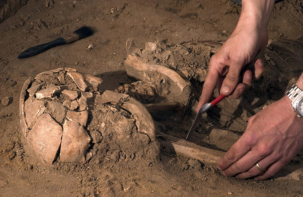 Unearthed Skeletons In Ridgefield Reveal Fascinating Artifacts