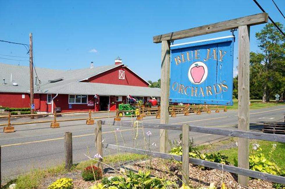 Blue Jay Orchards in Bethel Is For Sale But Not Gone