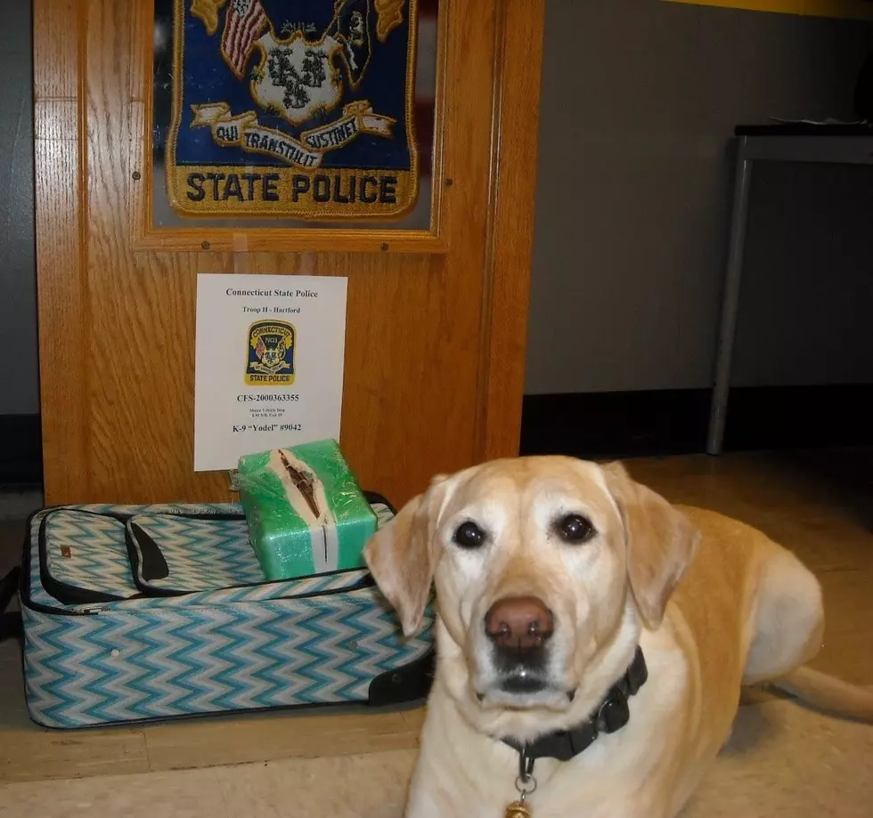 CT State Police K-9 Sniffs Out Cocaine Stash on I-91