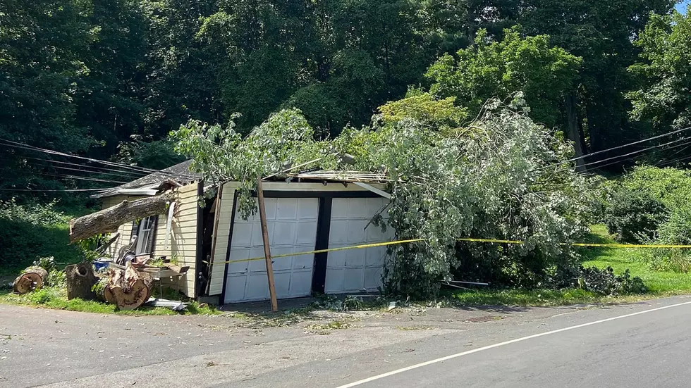 The Aftermath: Greater Danbury Damage after Tropical Storm Isaias