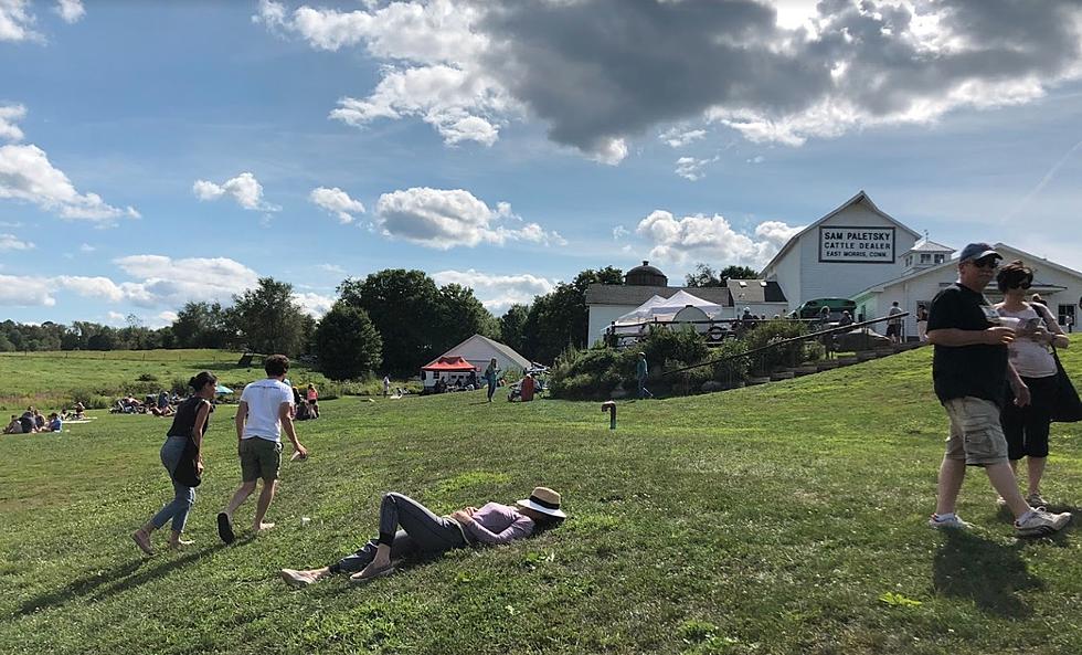 Concerts, Comedy and Cows: National Acts Announced at Popular Farm in Morris