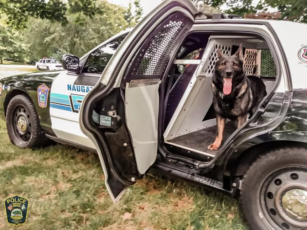 Naugatuck Police K9 Vane Retires After 10 Years of Service
