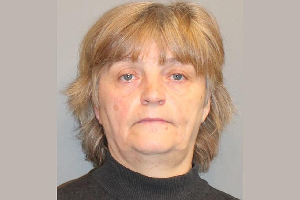 Police: Wilton Woman Accused of Tossing Beagle From Moving Vehicle
