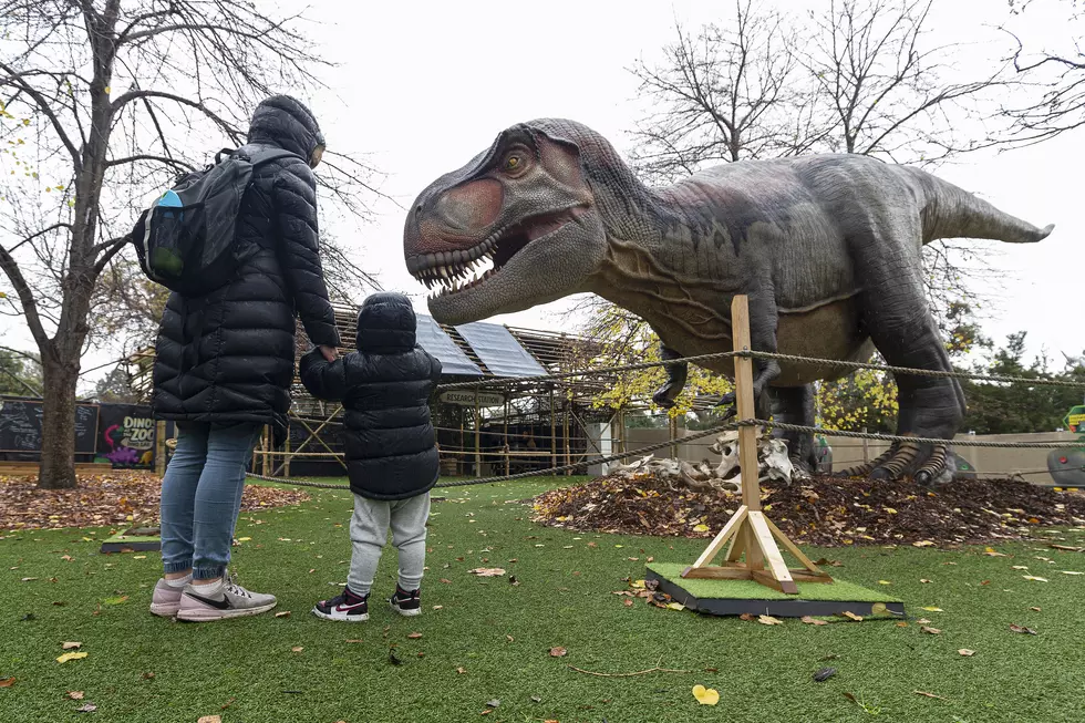 Walk-Through Dinosaur Exhibit Coming to Six Flags New England