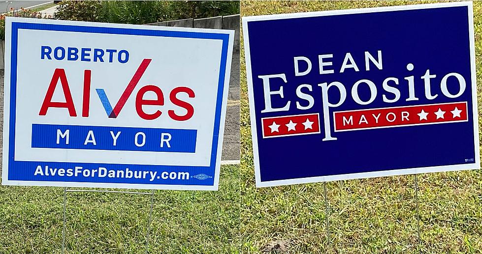 Who Has More Campaign Signs Displayed in Danbury, Dean Esposito or Roberto Alves?