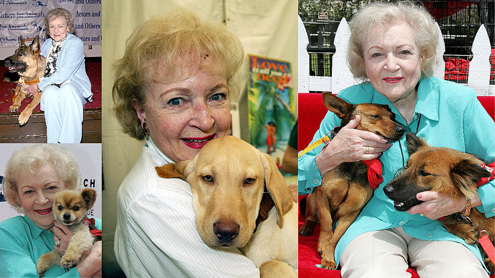 Celebrate Betty White’s Birthday Locally With Connecticut Animal Shelters