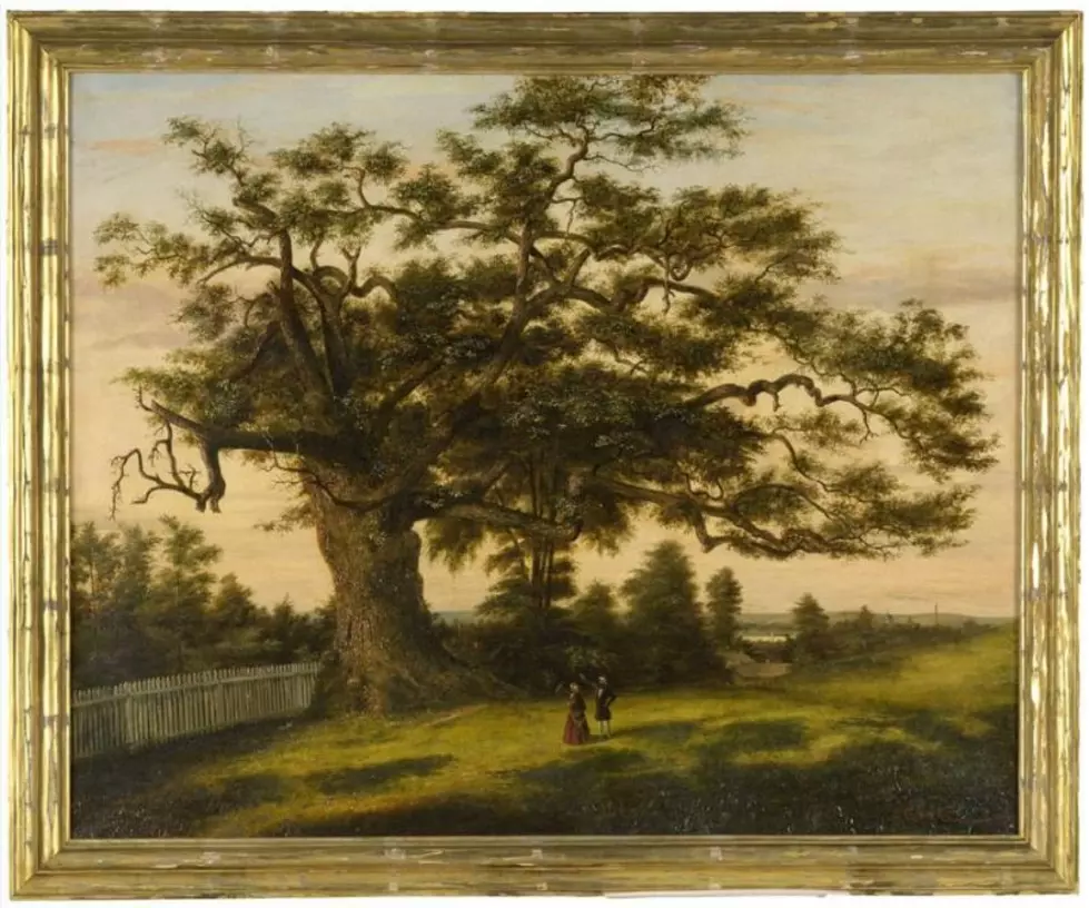 The Falling of Hartford&#8217;s Historic Charter Oak Tree Took Place 166 Years Ago