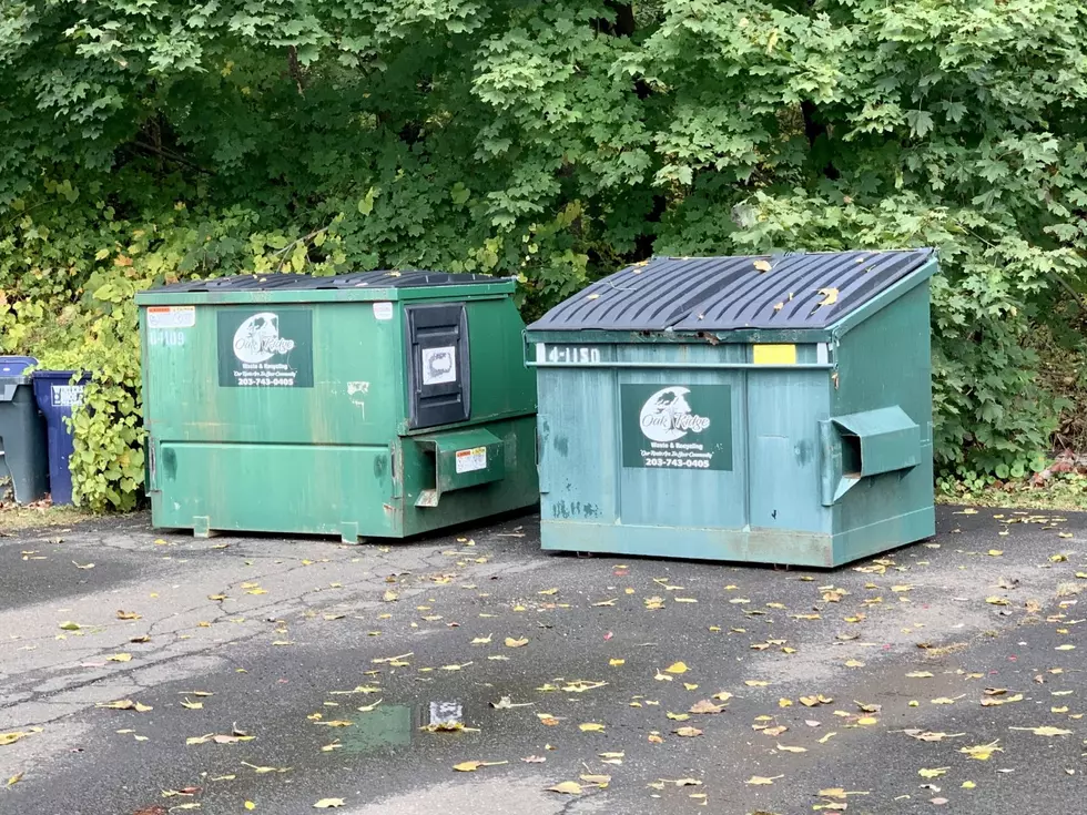 Is it Illegal to Dumpster Dive in Connecticut?