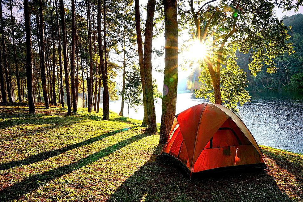 CT + NY Rated Highly in Best States for Camping Study, Who Won?