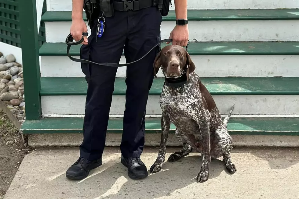New Connecticut Officer Ready to Bust Crooks and Melt Hearts