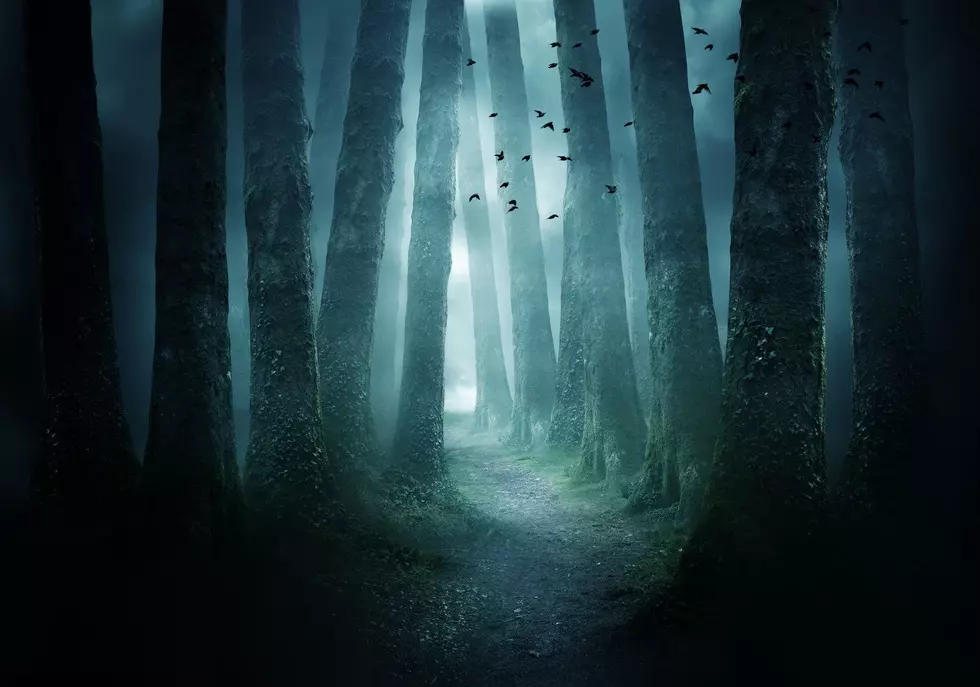 Real-Life ‘Road to Nowhere’ In Connecticut Is Full of Disturbing Legends