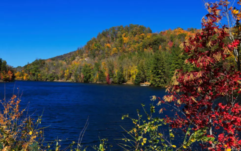 Keep Your Leaves Off Candlewood Lake