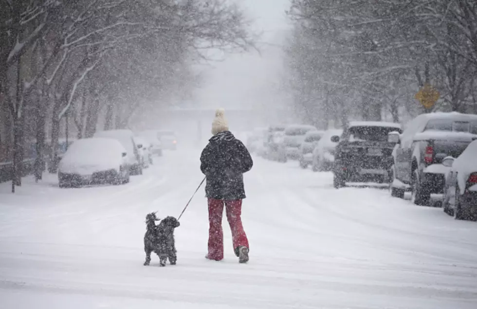 Five Things You’ll Need to Get Thru This Weekends Snow Storm