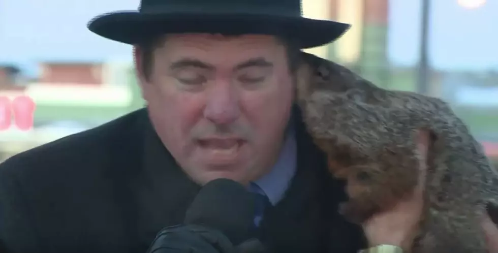 The Groundhogs Are Getting Their Revenge