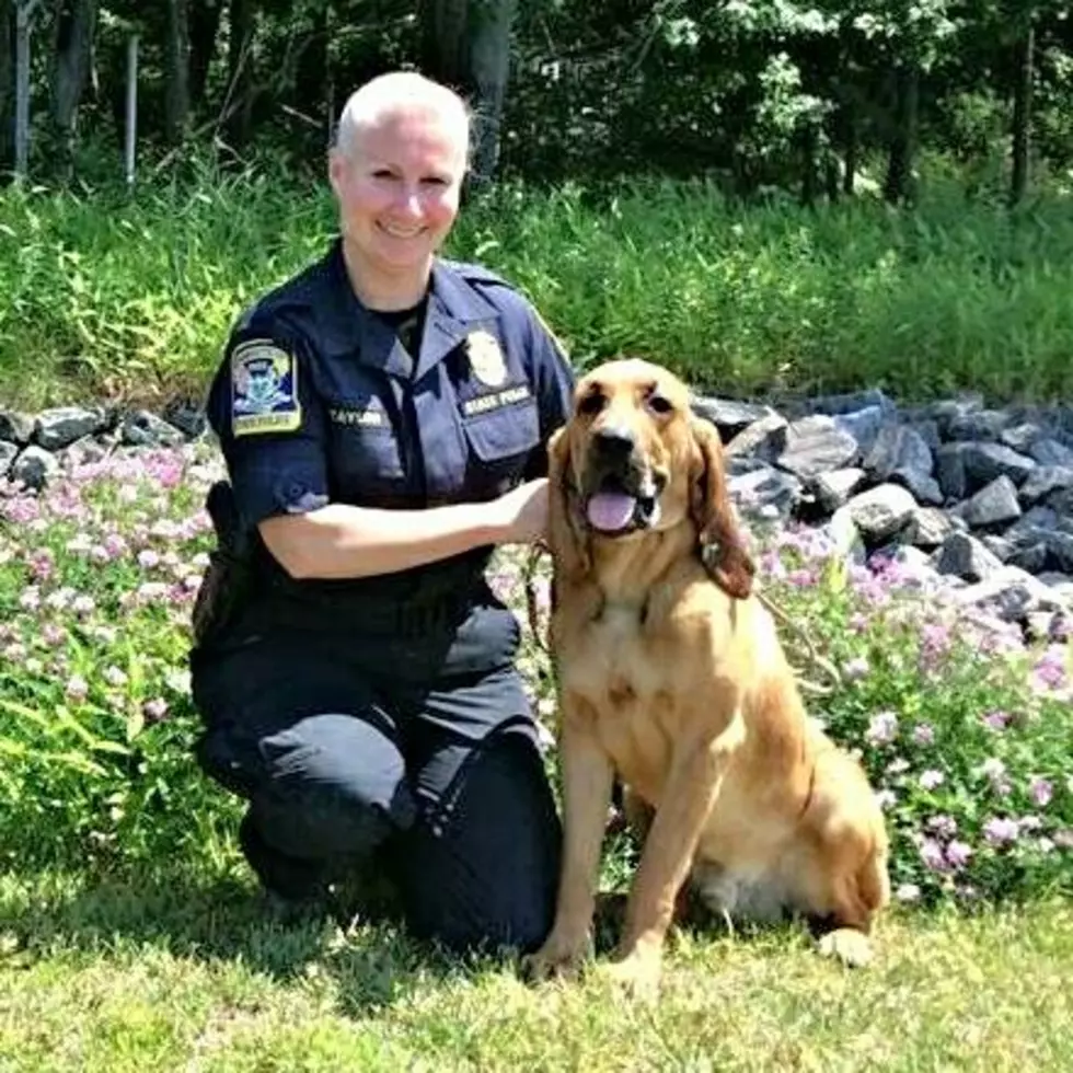 Police Dog Rescues Elderly Woodbury Woman