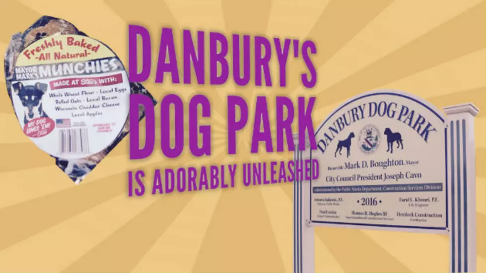 Watch the Adorable Unleashing of Danbury&#8217;s Dog Park