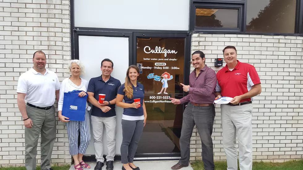 Culligan Water in Danbury Gets an Unfiltered Lunch Date