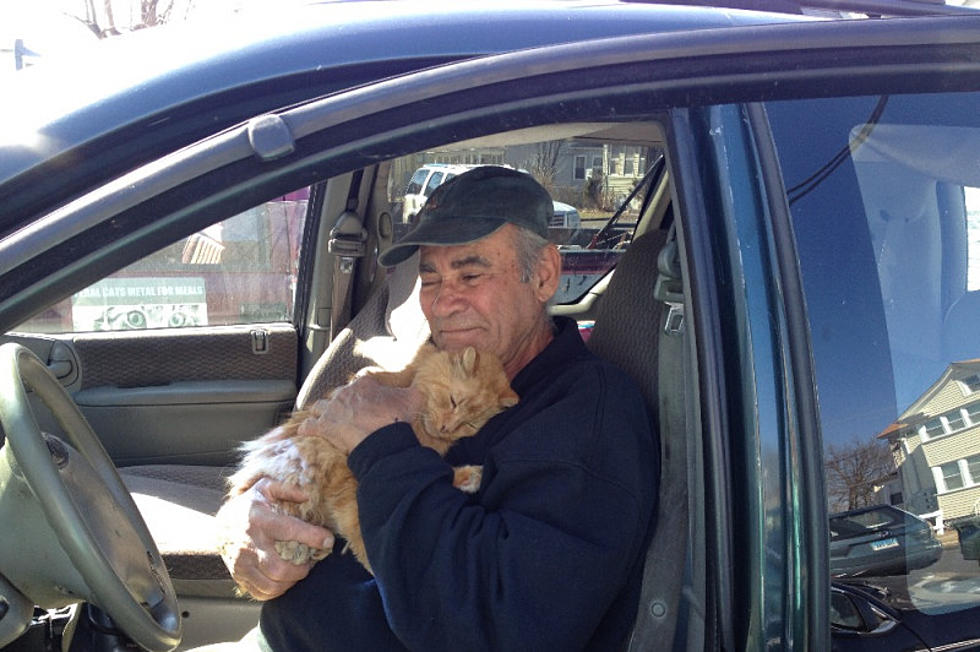 Connecticut Scrap Metal Worker Takes Care of Strays for Two Decades