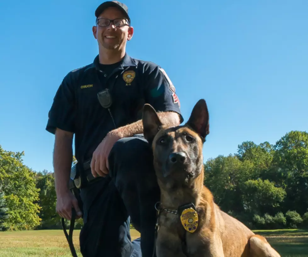 Brookfield Police Dog to Receive Bulletproof Vest