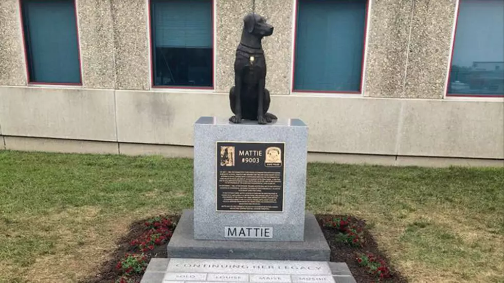 Connecticut State Police Honor World’s First ‘Arson Dog’ With Beautiful Statue