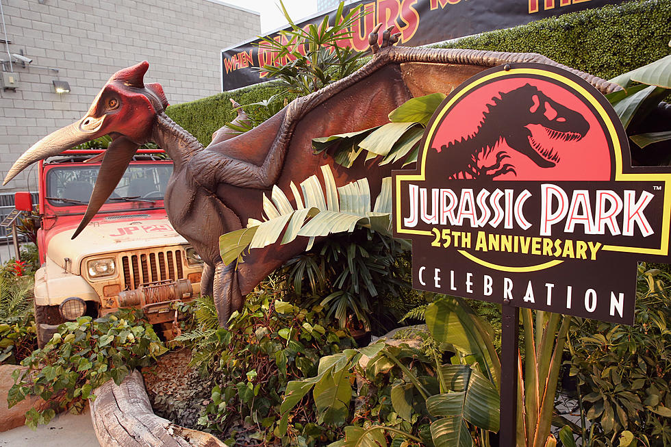 Where to Catch 'Jurassic Park' in Danbury for 25th Anniversary