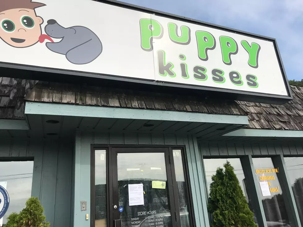 Eviction Notice Served To Danbury’s Puppy Kisses Amid Controversy