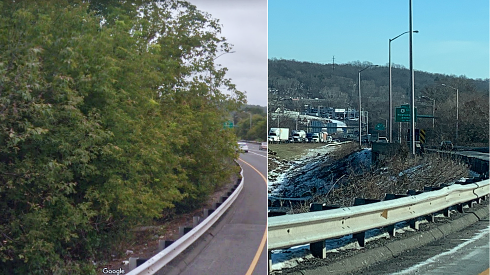 DOT Explains Why So Many Trees Are Missing From I-84 In Danbury 