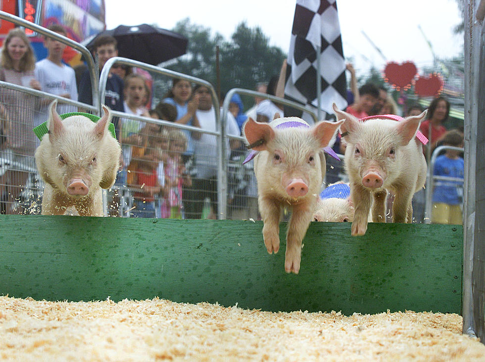 UPDATE: A List of Country Fairs in Connecticut This Fall