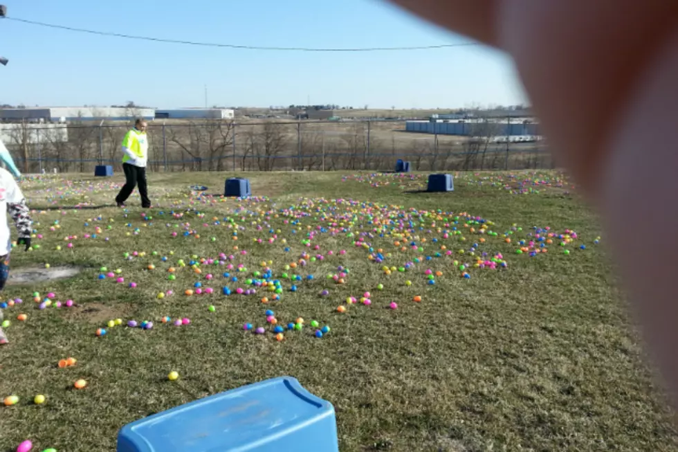 Another Great Egg Hunt