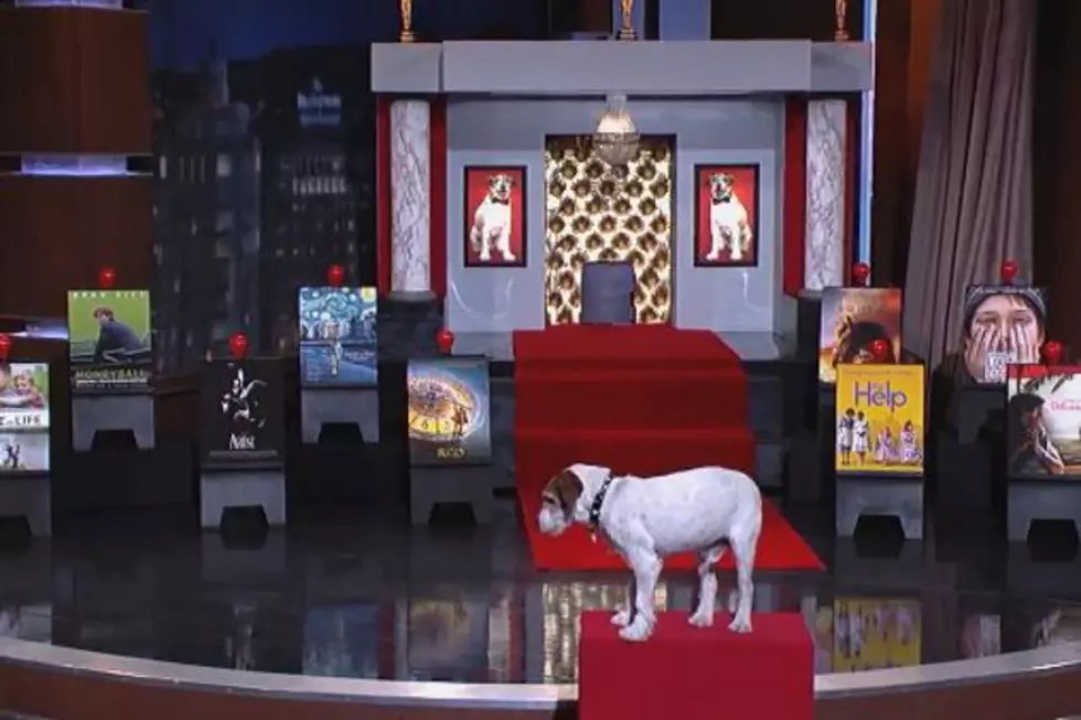 Uggie From ‘The Artist’ Predicts the 2012 Oscars Best Picture on Jimmy Kimmel