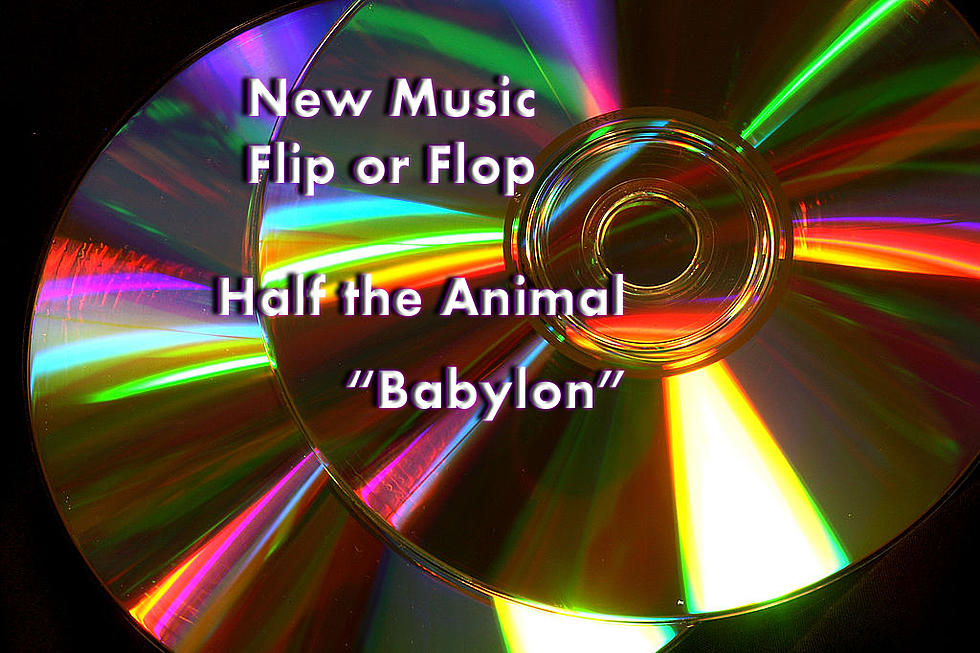 New Music Flip or Flop: “Babylon” – Half the Animal [Vote]