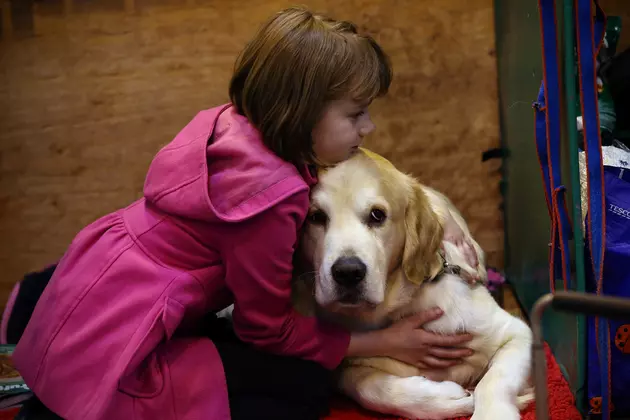 Recent Study Finds Kids Like Their Pets More Than Their Siblings