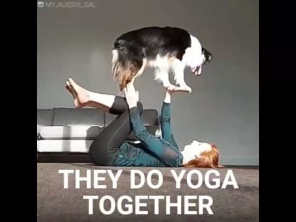 Can YOUR Dog Do This? [VIDEO]