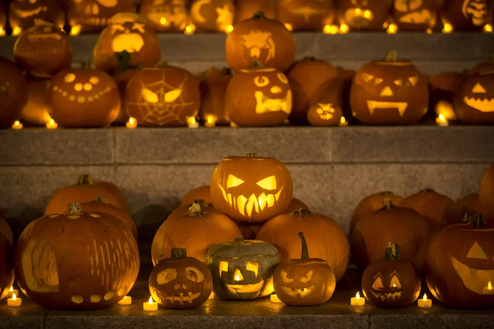 Pumpkin Nights is Back for 2017 at the Minnesota State Fair Grounds