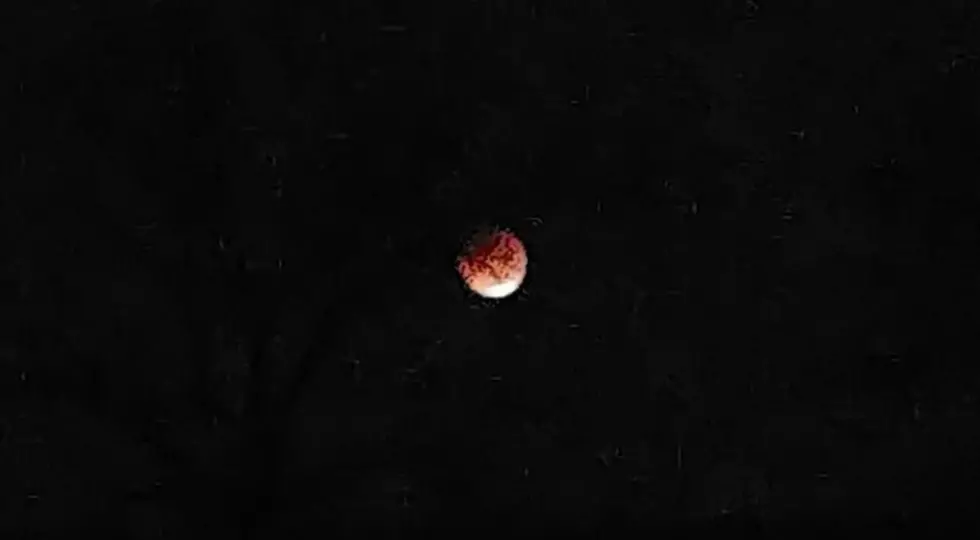 Super Blue Blood Moon Viewed Across Central MN Today [LOOK]
